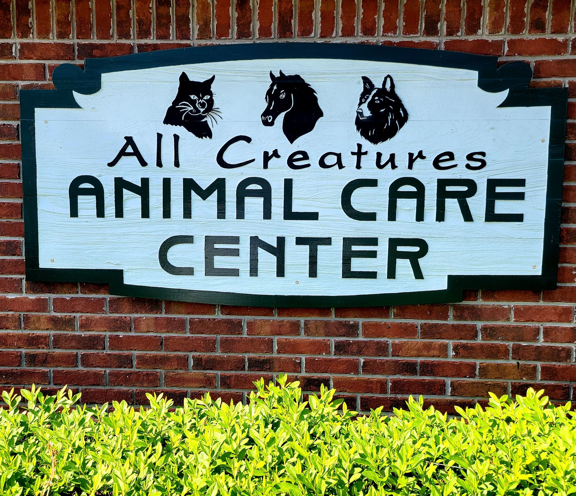 All Creatures Animal Care Center: Robert Filgo, DVM Madison