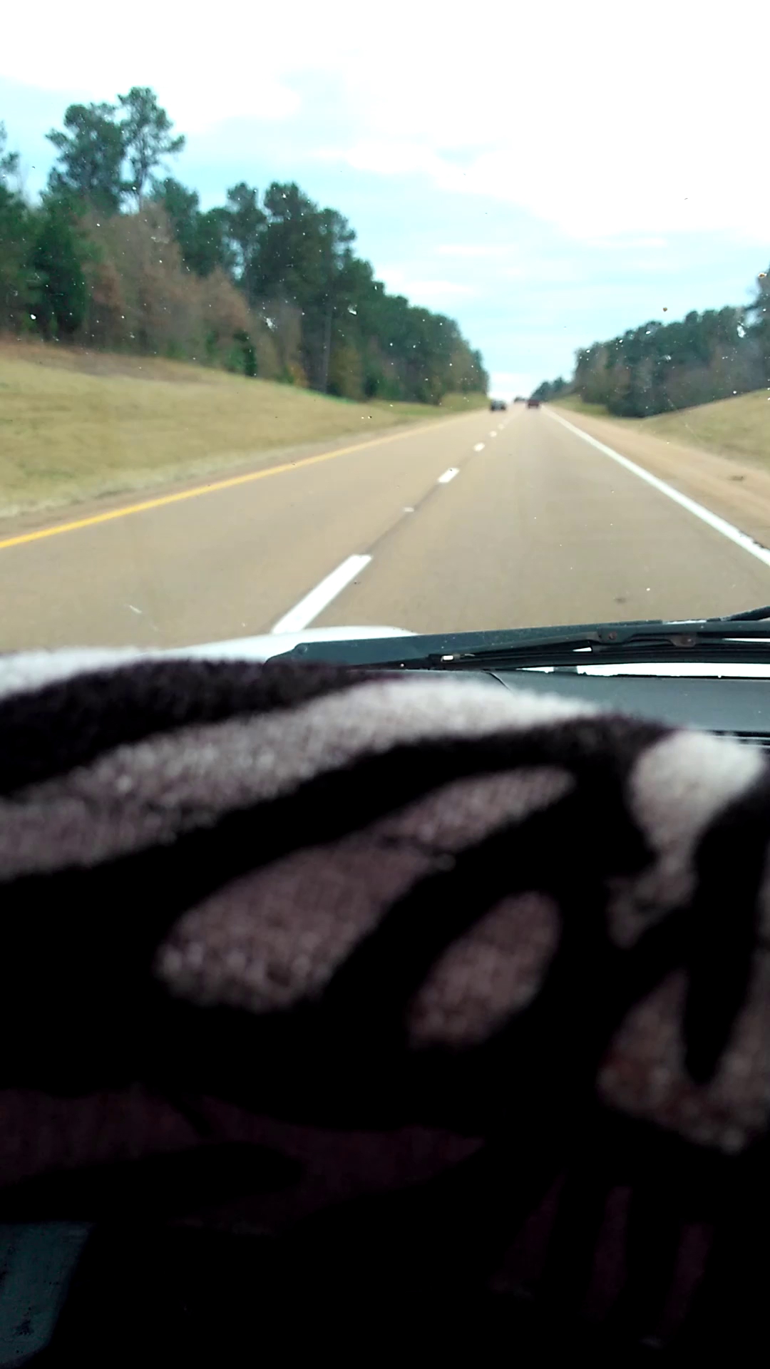 the hide group/Grandslam weed and grass killer