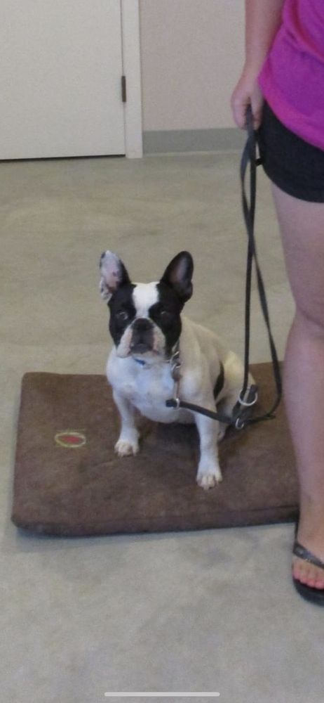 Blue Barn Ranch Inc Vancleave