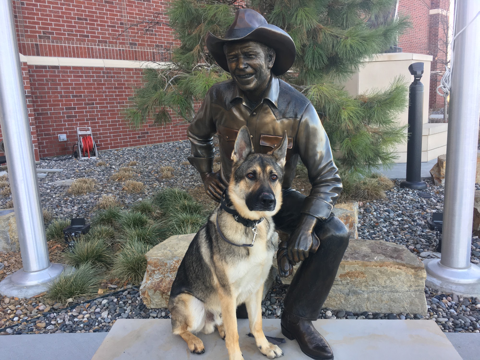 Paws & Claws Billings