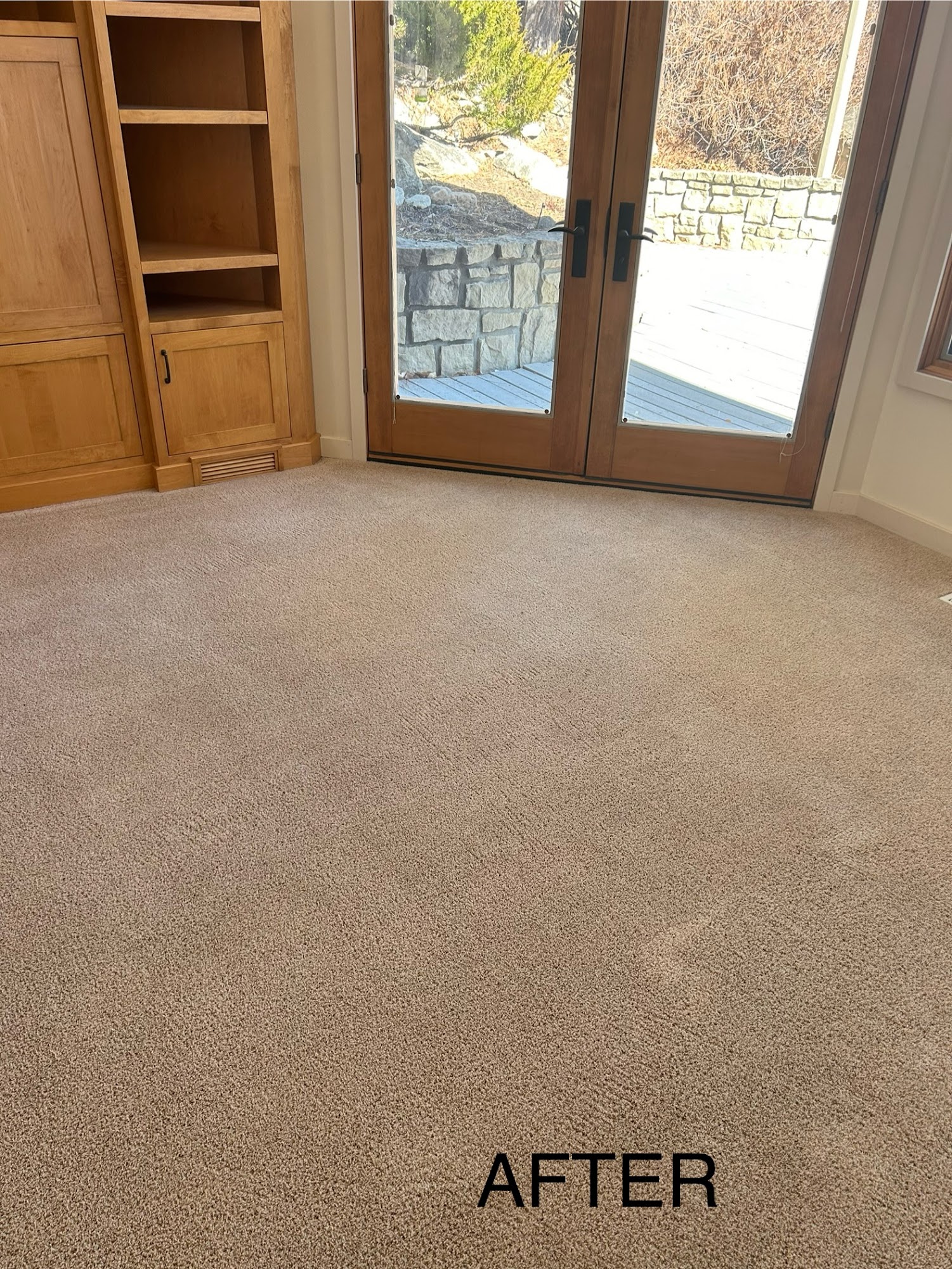 Premier Carpet Cleaning & Restoration