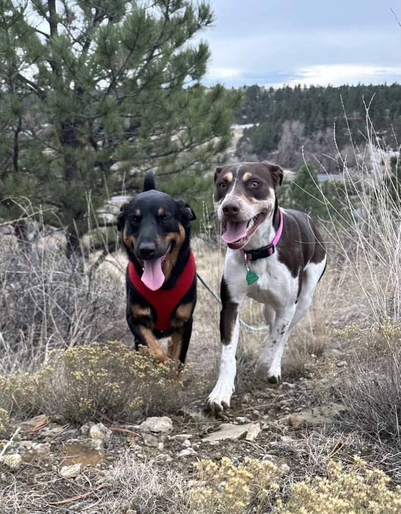 Photo credit: 