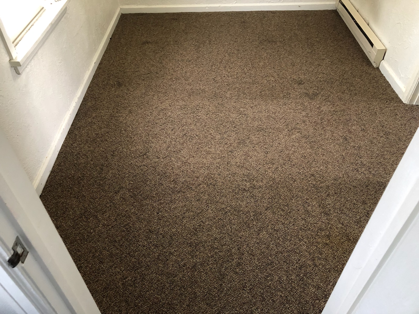 Big Sky Carpet Cleaning