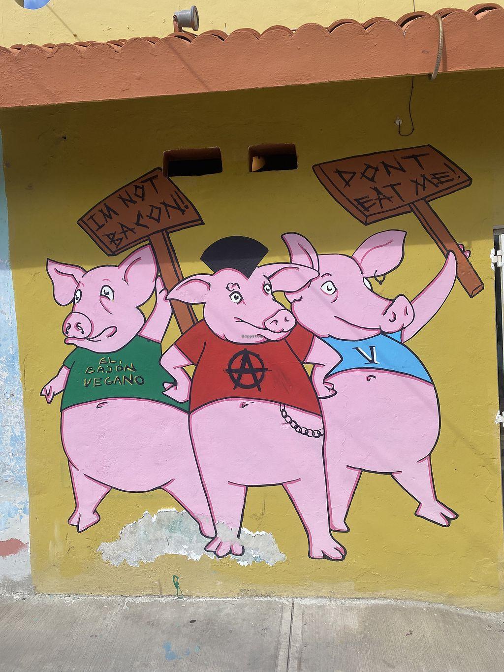 Photo credit: happycow