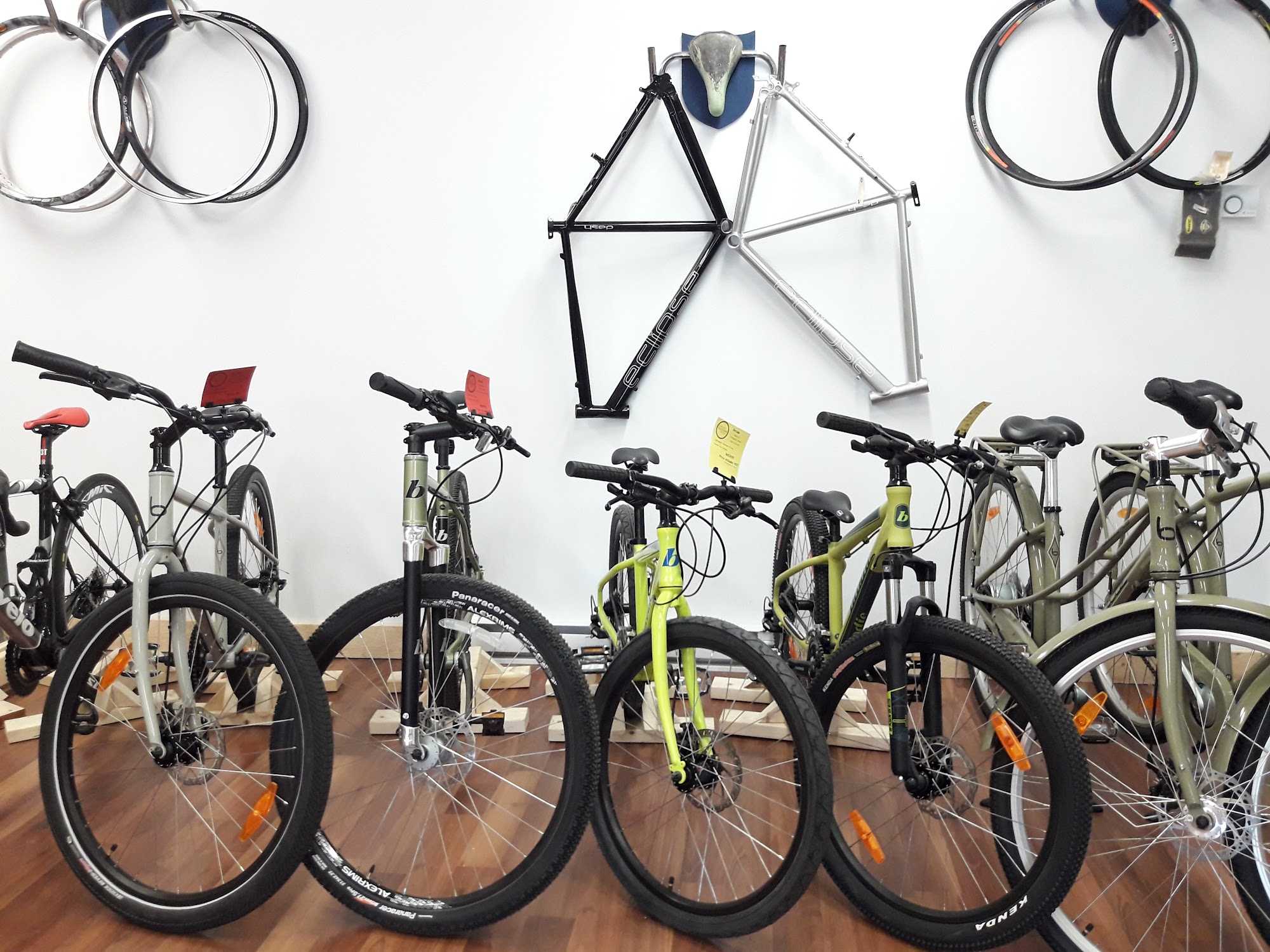 Bent Spokes Bicycle Shop