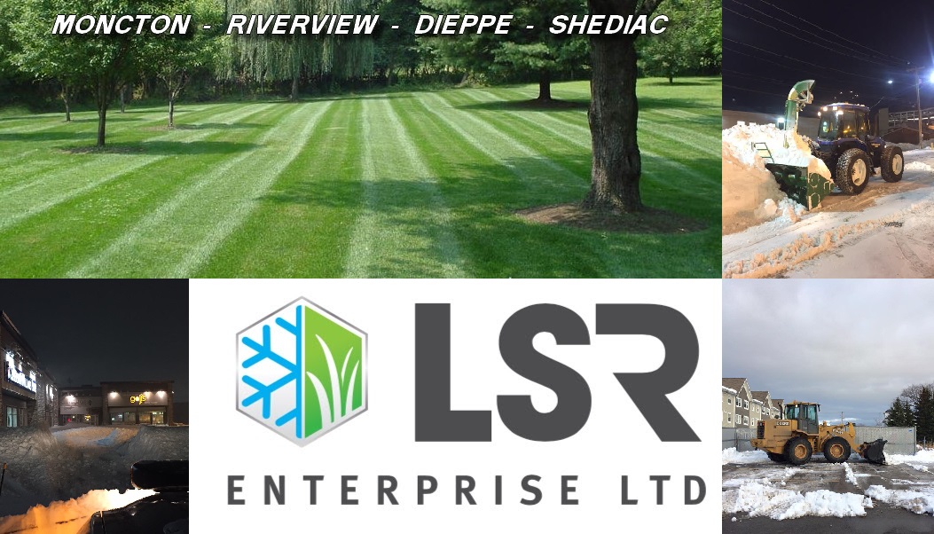 LSR Enterprise Ltd