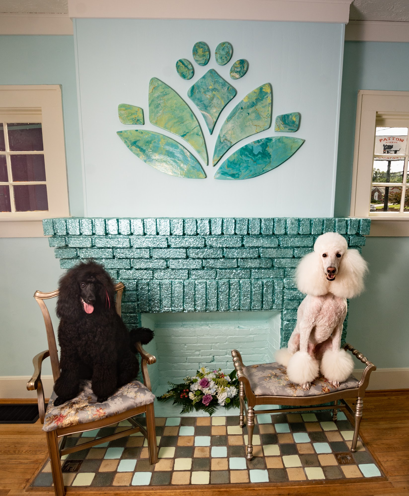 Pawsitivity Pet Spa Asheville