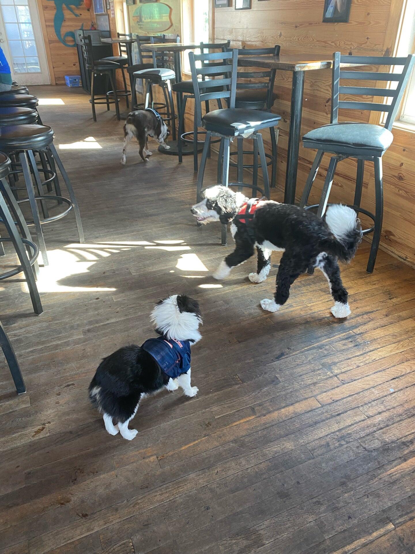 Photo credit: nextdoor