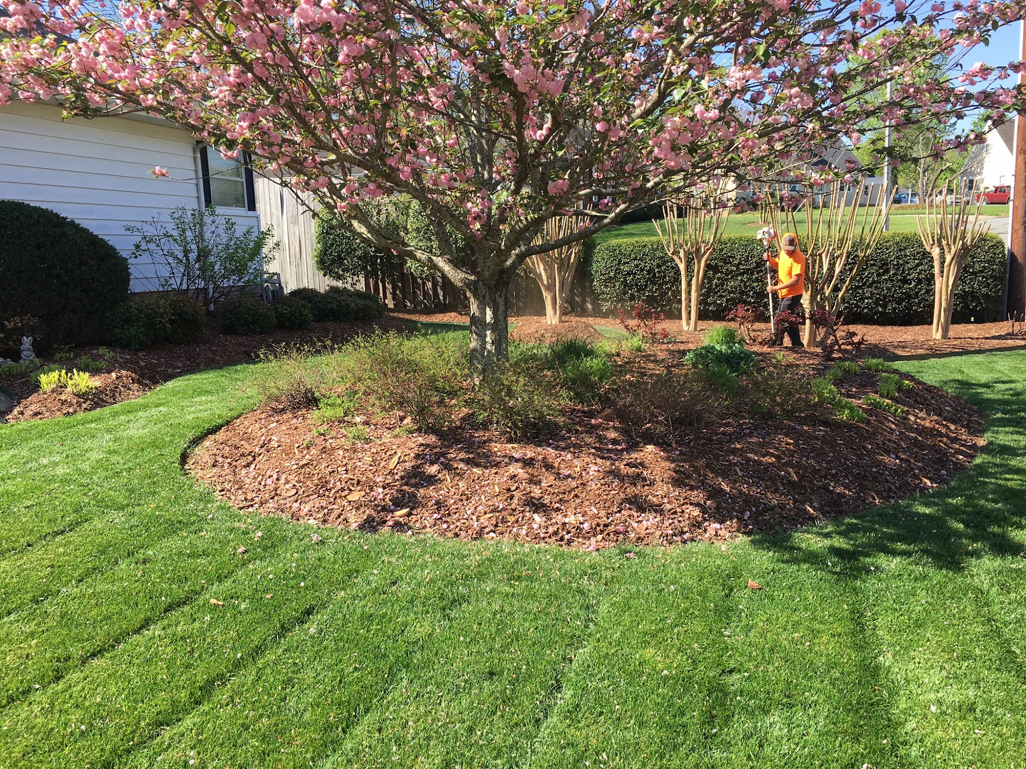 Carolina Custom Landscaping and Grading