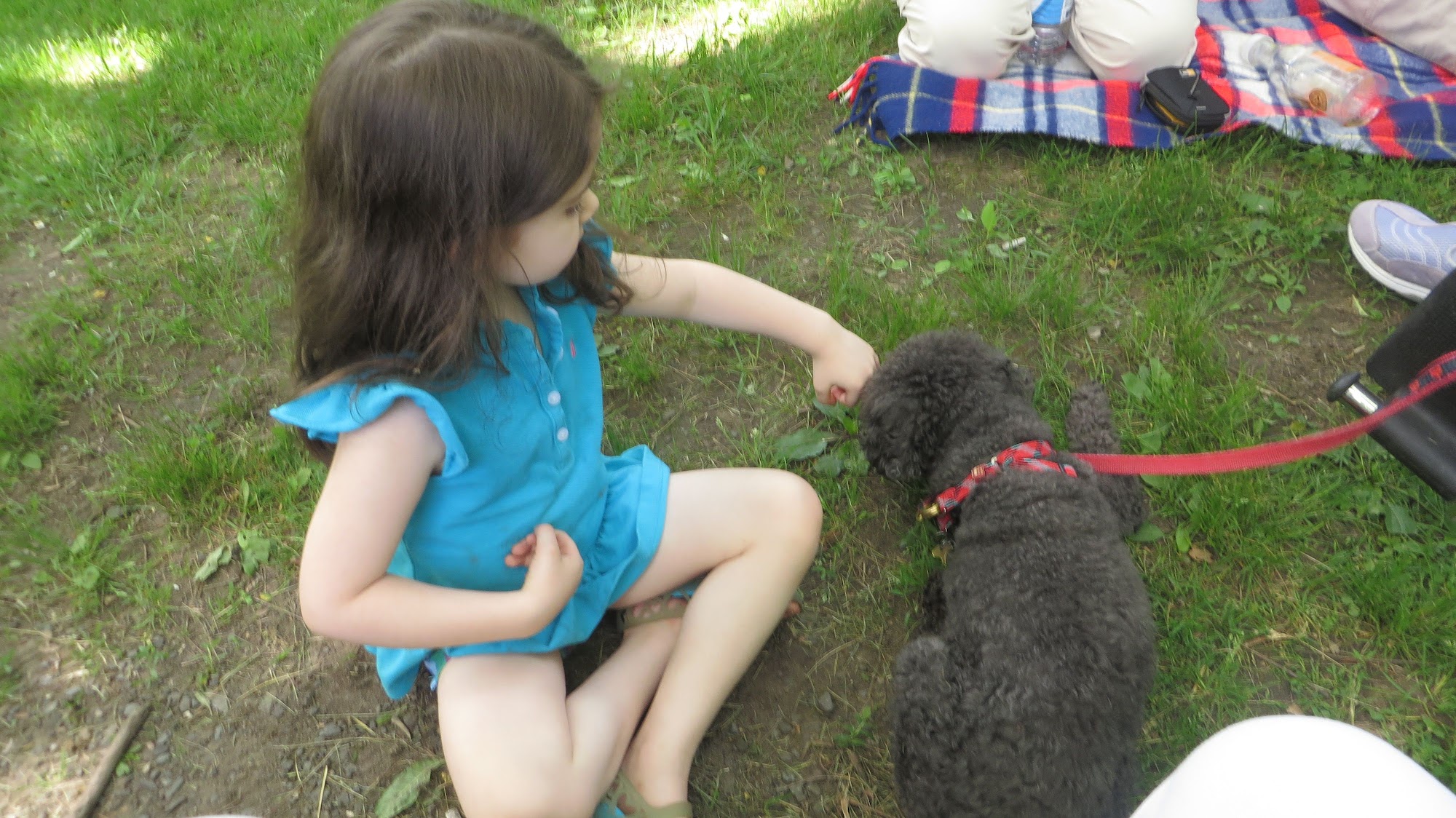 Family Paws, LLC Cary