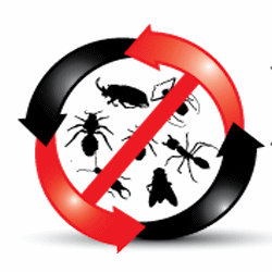 Bening Pest Management