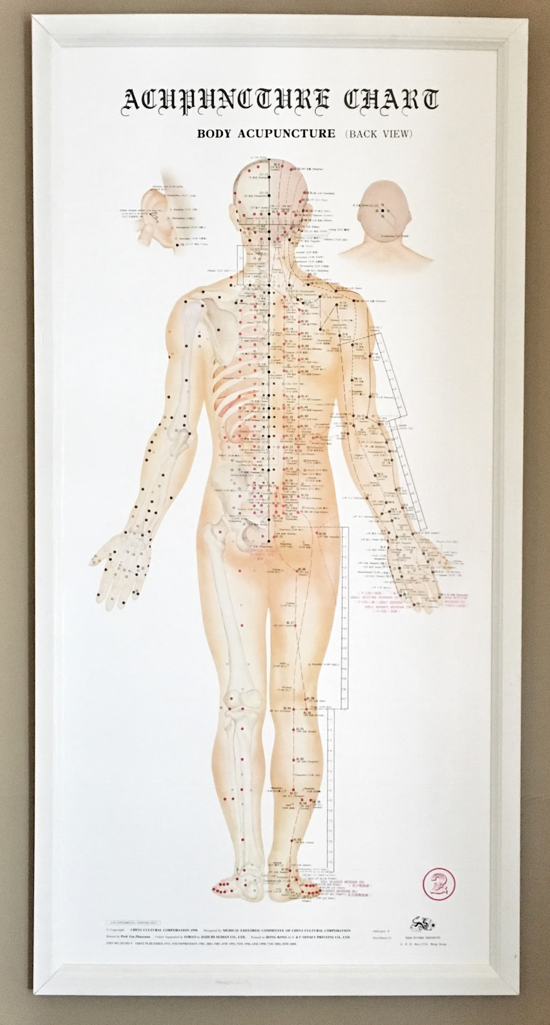 True North Acupuncture and Wellness