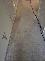 Total Care Carpet Cleaning
