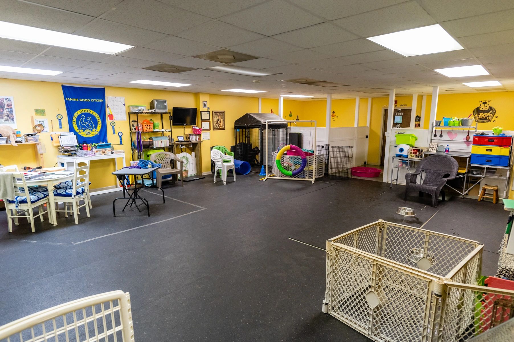 K-9 Capers Dog Training Academy Concord