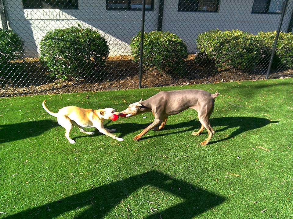 Creature Comforts Inn Durham