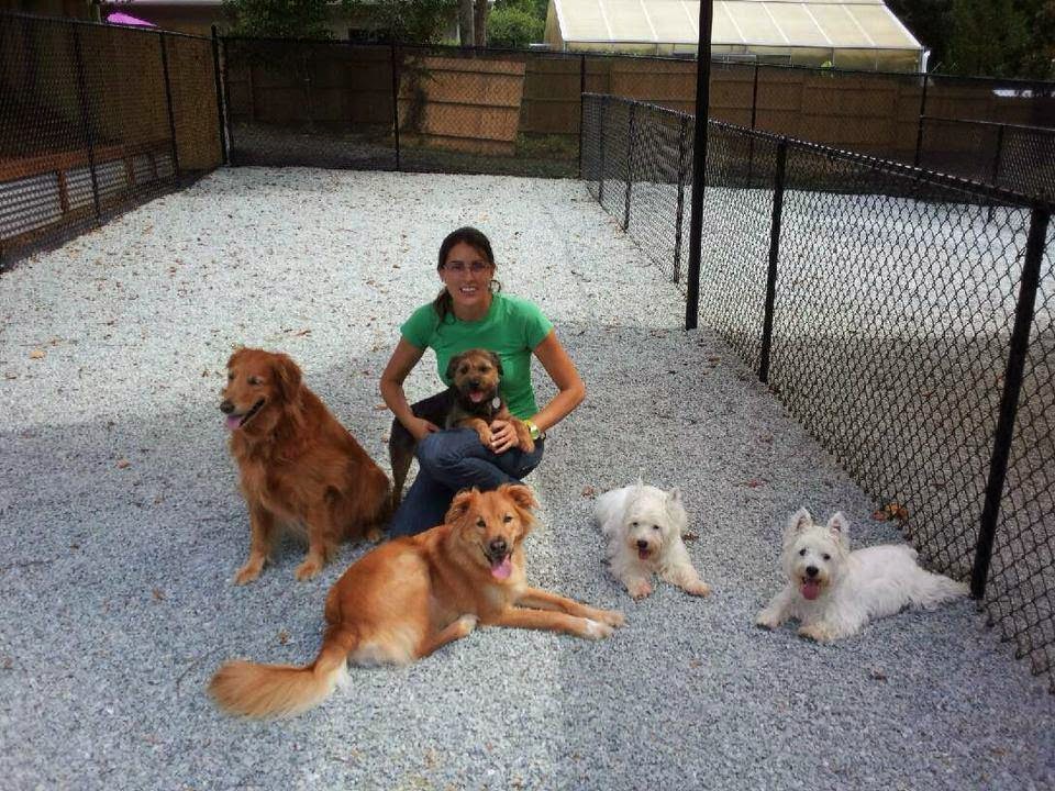 The Pet Wagon Hotel Durham