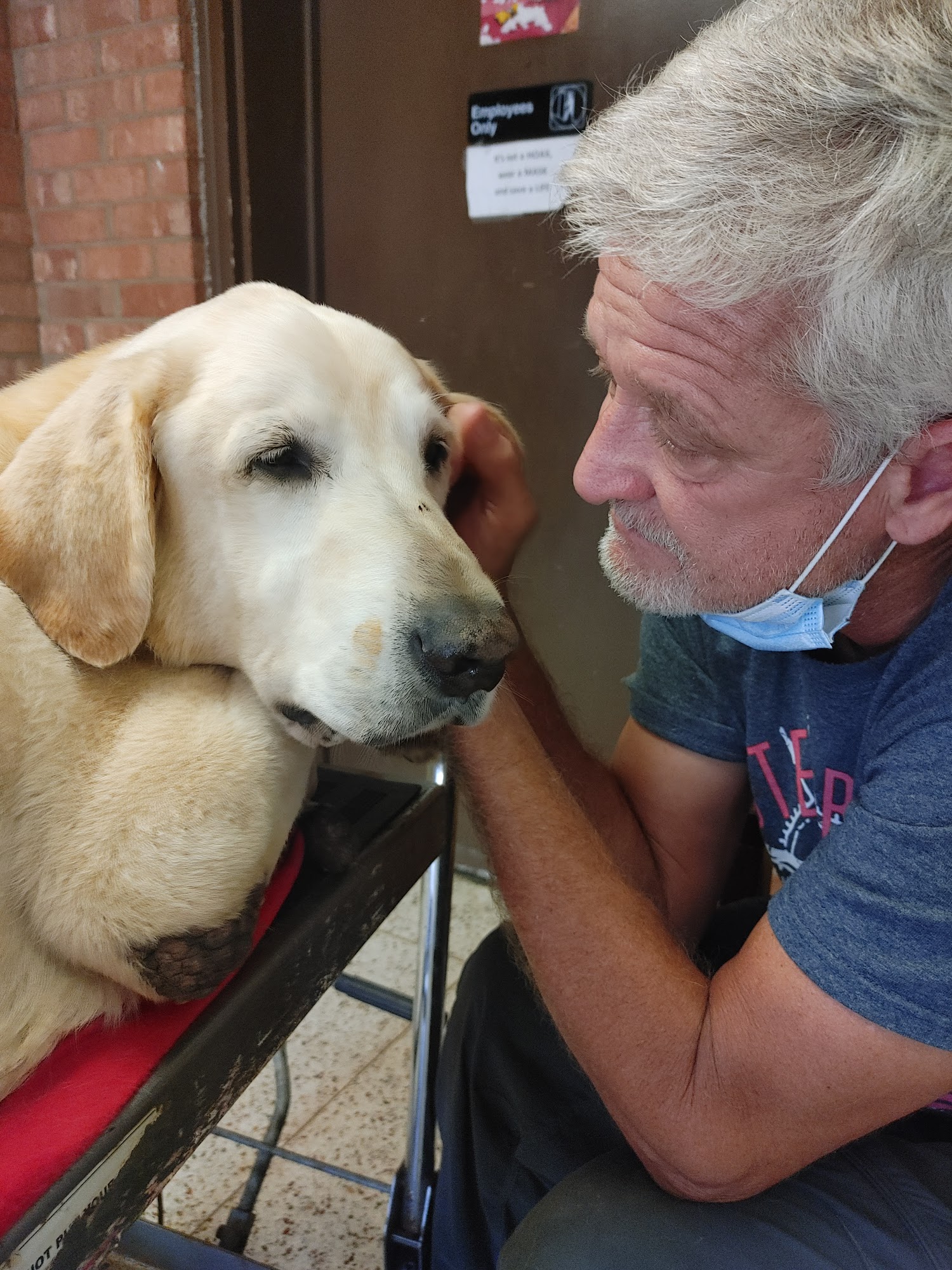 Burlington Road Animal Hospital