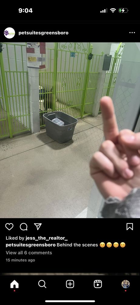 PetSuites Greensboro Greensboro