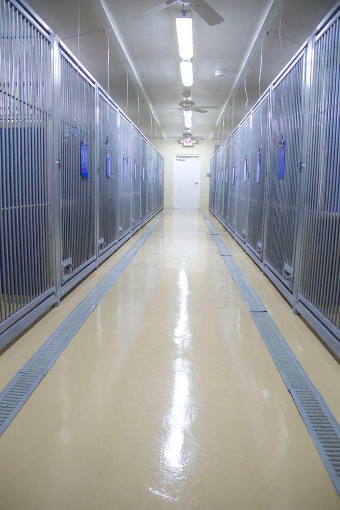 Country Kennel Greensboro