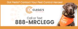 Clegg’s Termite & Pest Control - Greenville