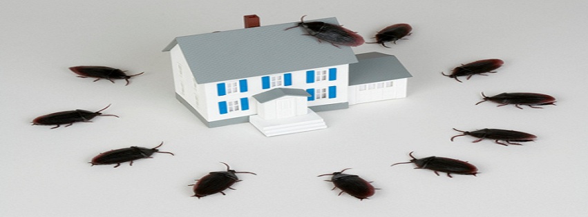Marks Termite & Pest Control Inc