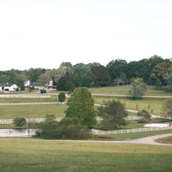 The Stable Spa