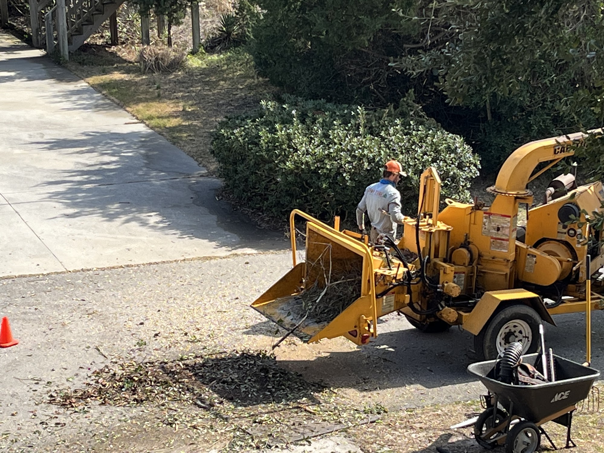 Drop Zone LLC Tree Service and Landscaping