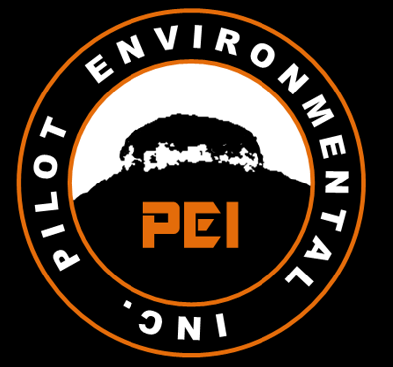 Pilot Environmental