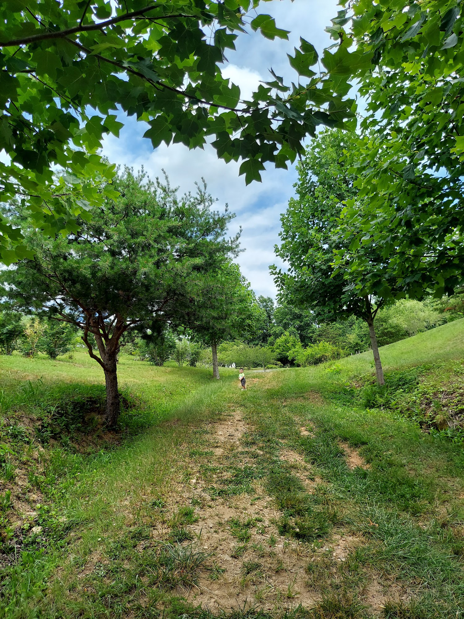 Brushy Mountain Berry Farm