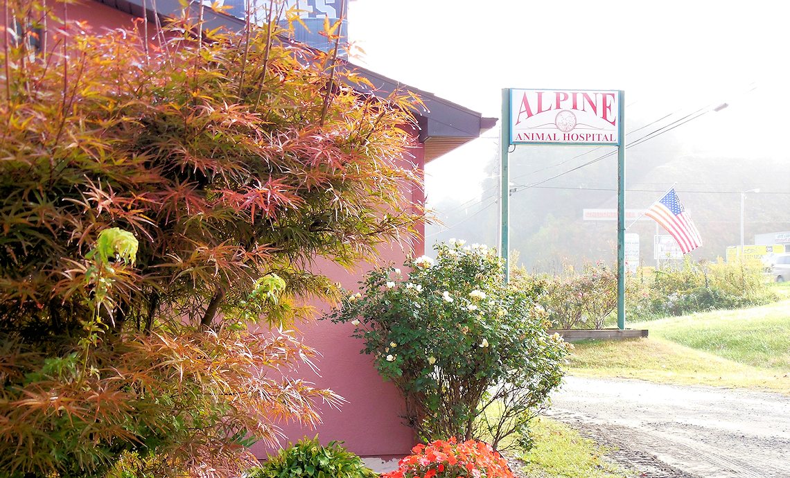 Alpine Animal Hospital & Veterinary Services