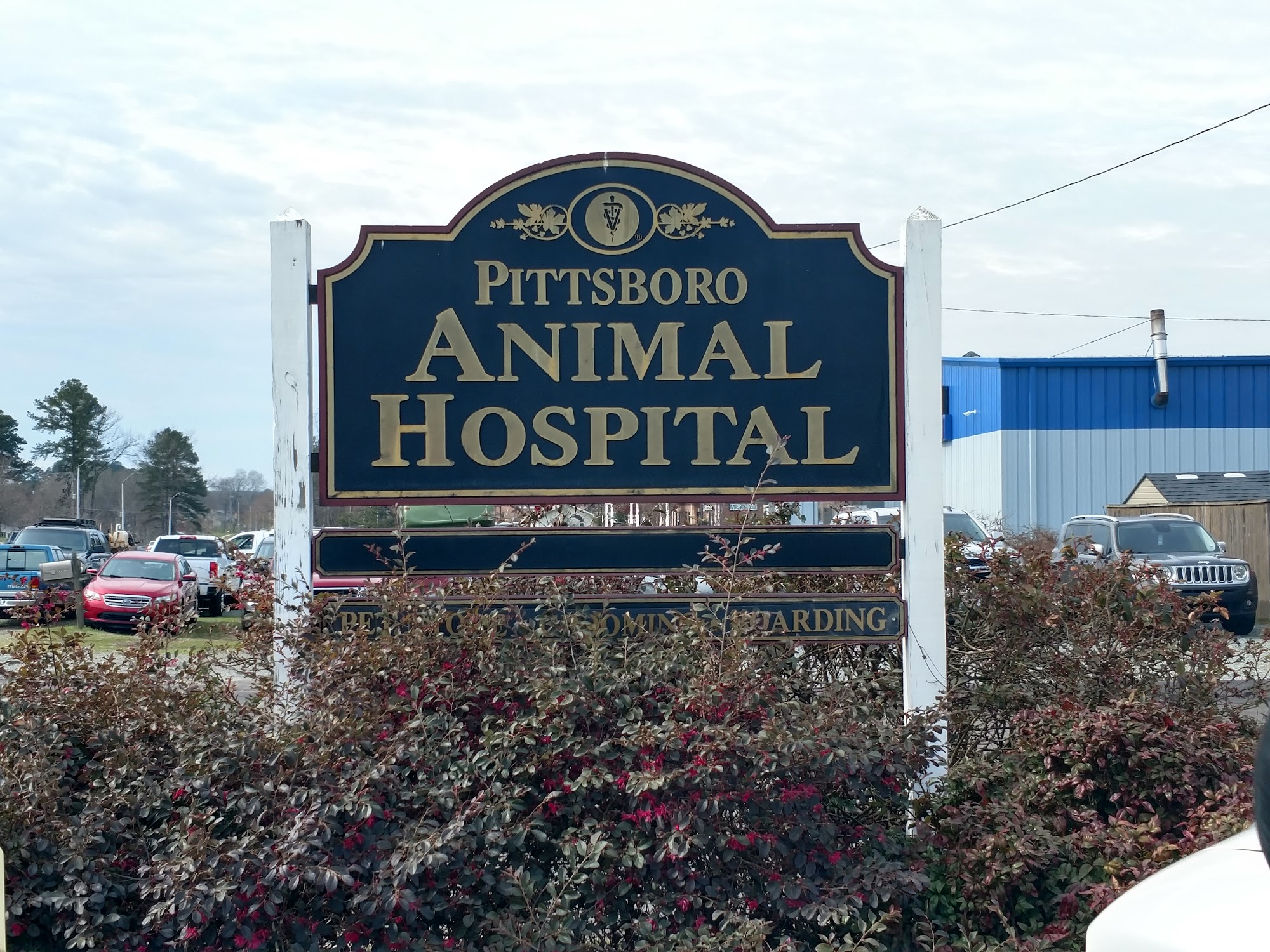 Pittsboro Animal Hospital 1065 East St, Pittsboro North Carolina 27312