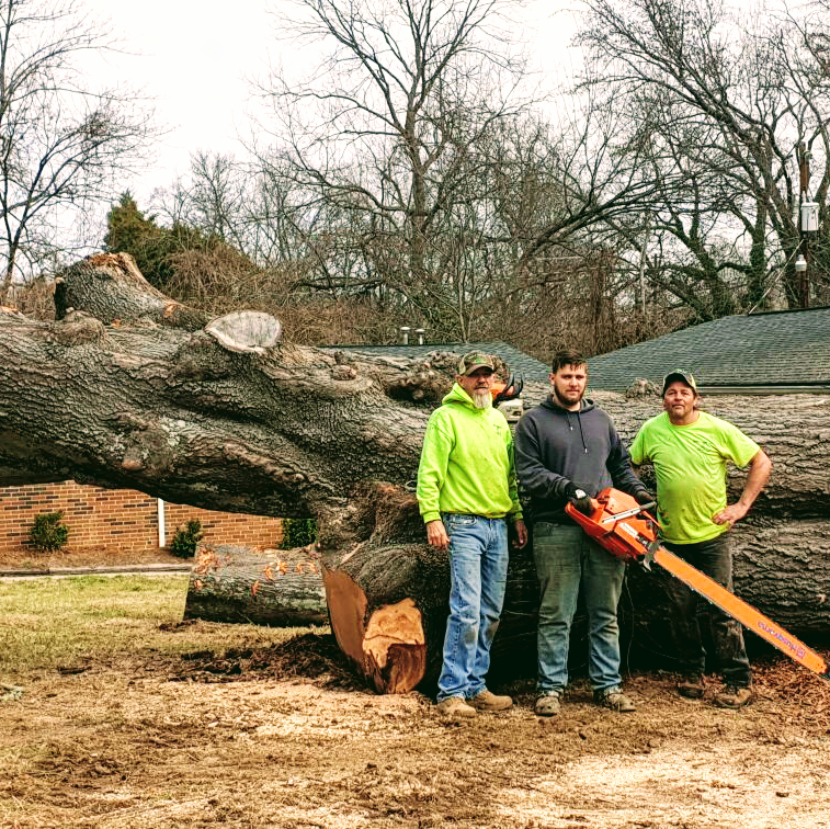 Need A Tree Cut 539 Hodgin Valley Rd, Pleasant Garden North Carolina 27313