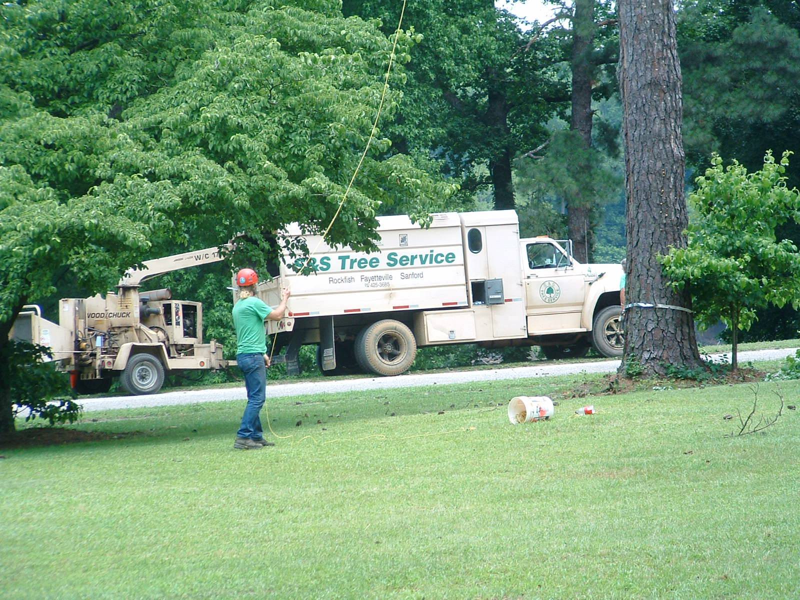 S & S Tree Services & Equipment Co