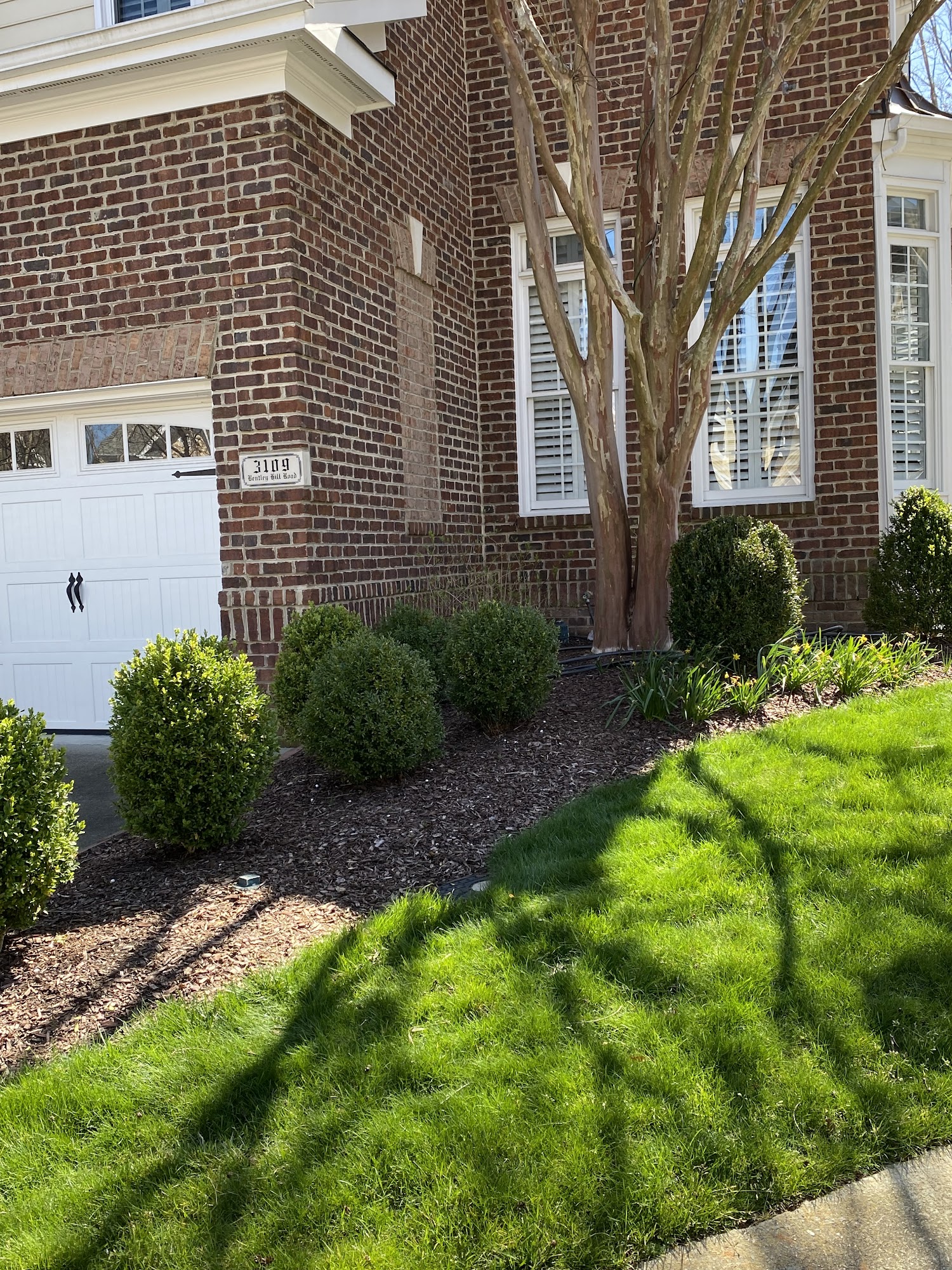 Green Leafs NC - Lawn & Landscaping