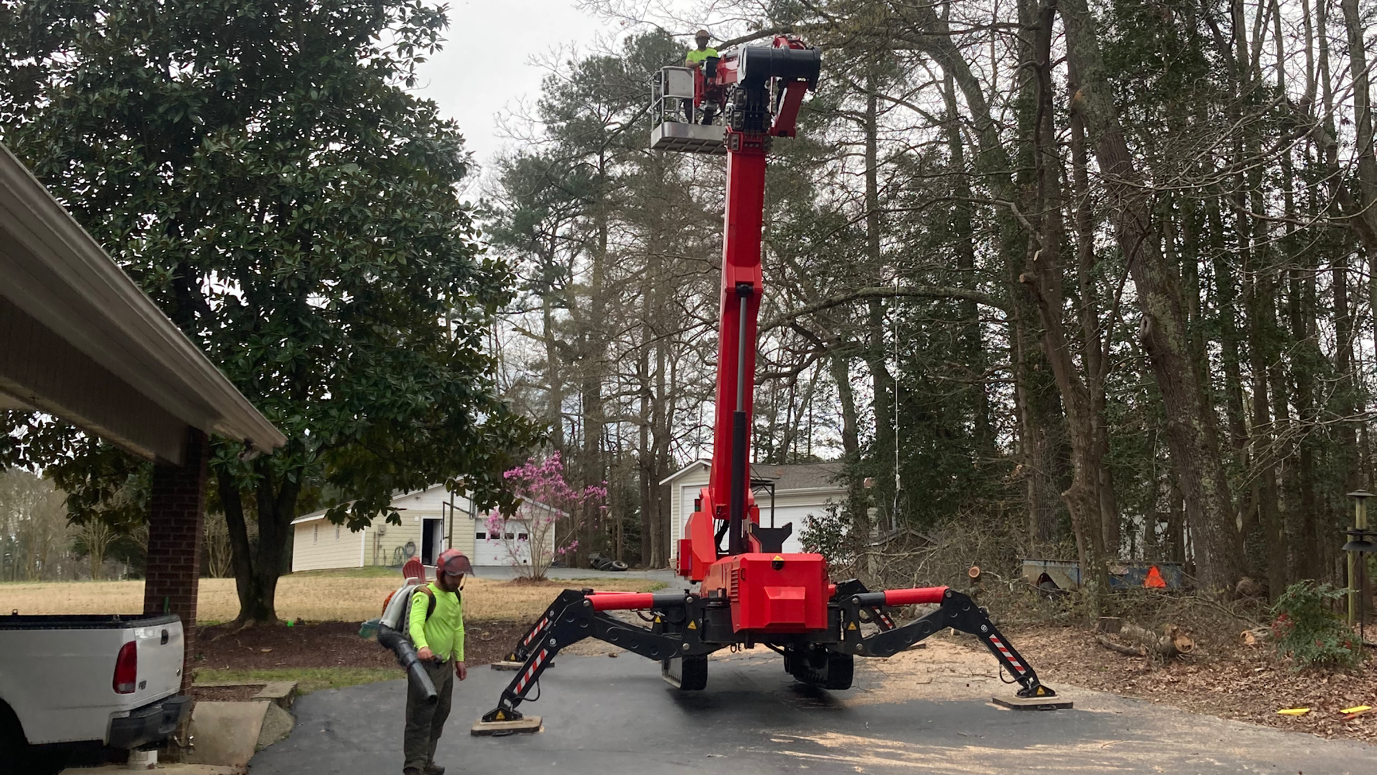 Raleigh Tree Service