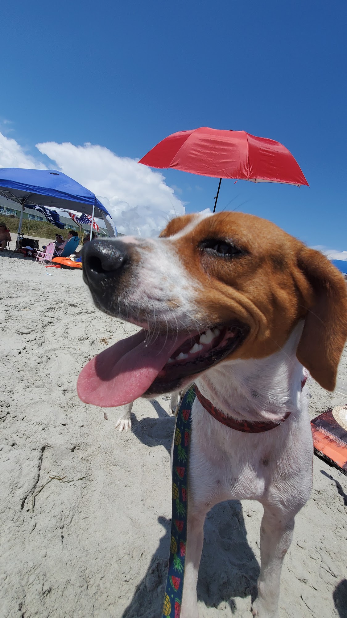 Hadnot Creek Training Facility Swansboro