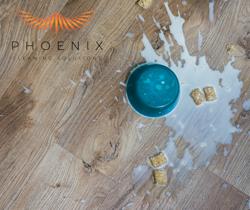 Phoenix Cleaning Solutions