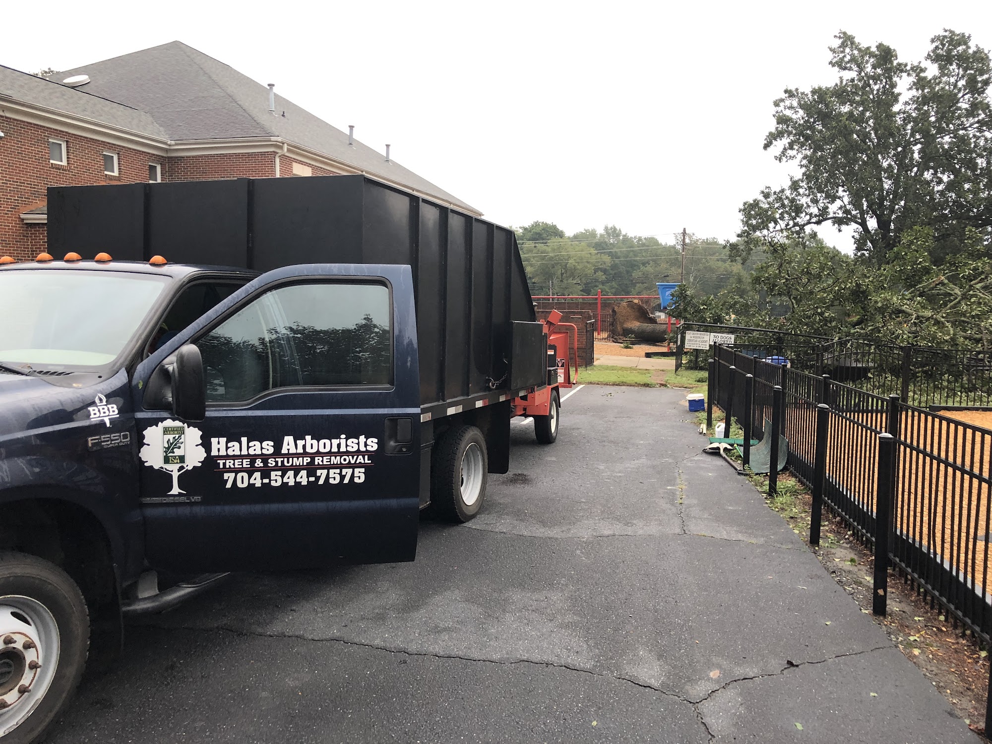 Halas Arborists 115 Cari Ln, Weddington North Carolina 28104