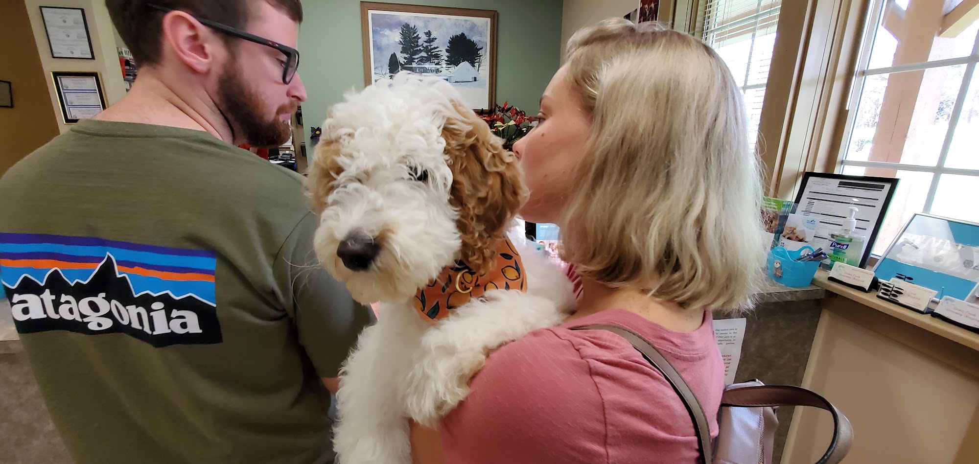 Stoney Creek Veterinary Hospital