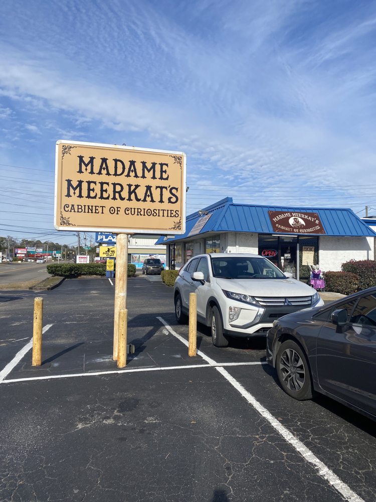 Madame Meerkat's Cabinet of Curiosities