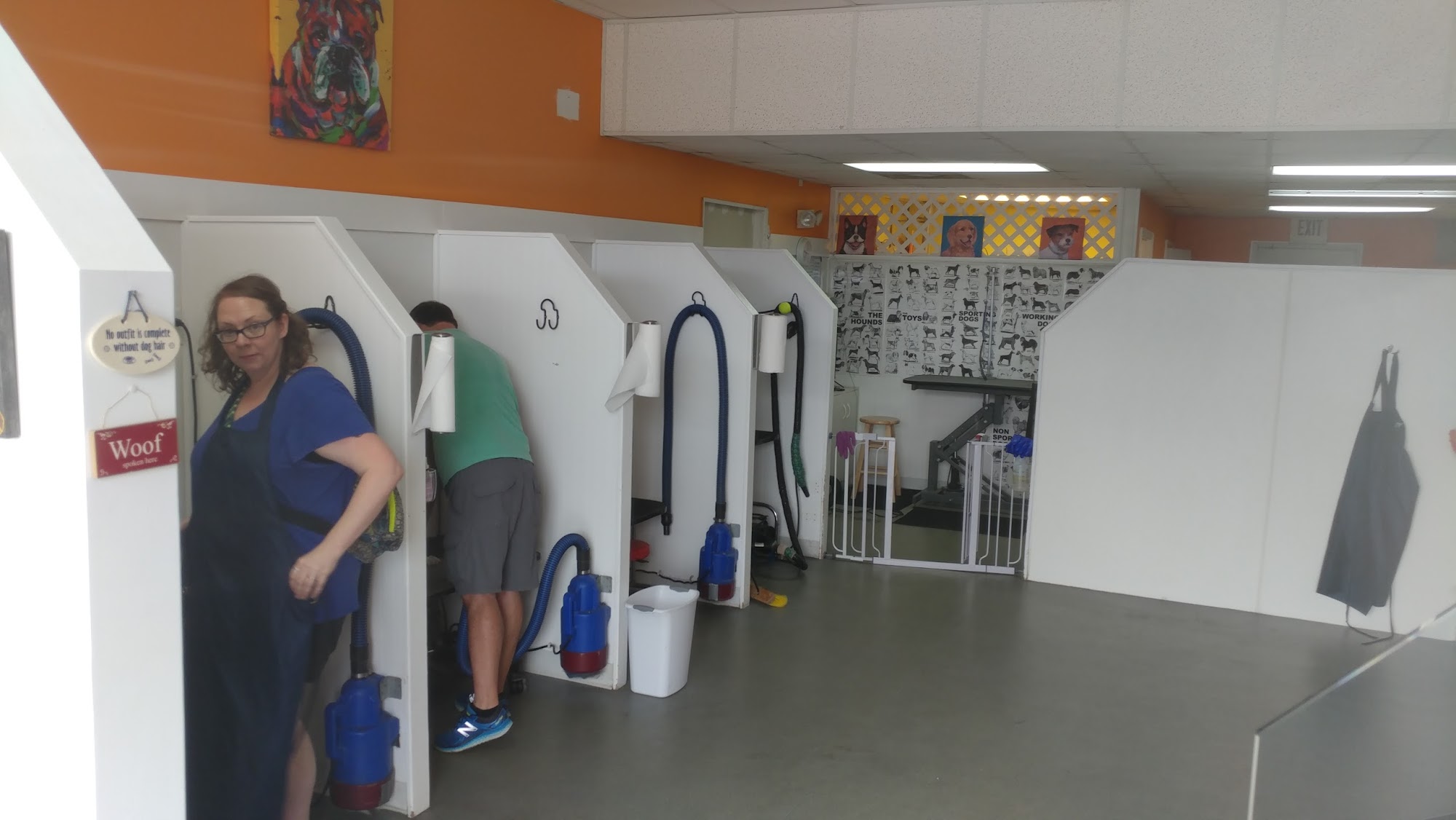 Sudslingers Self Services Dog Wash Wilmington