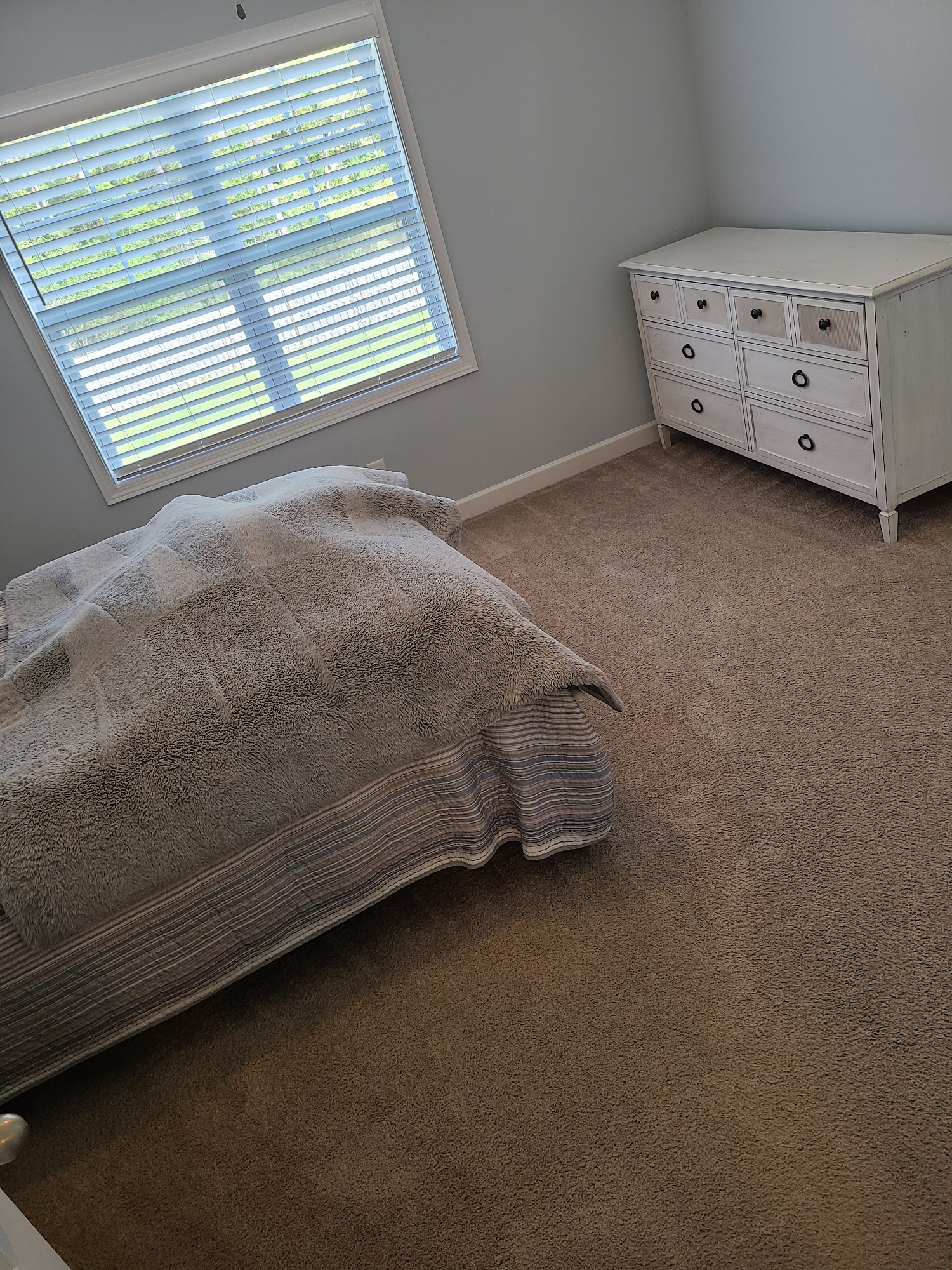 Wilmington Carpet Cleaning NC