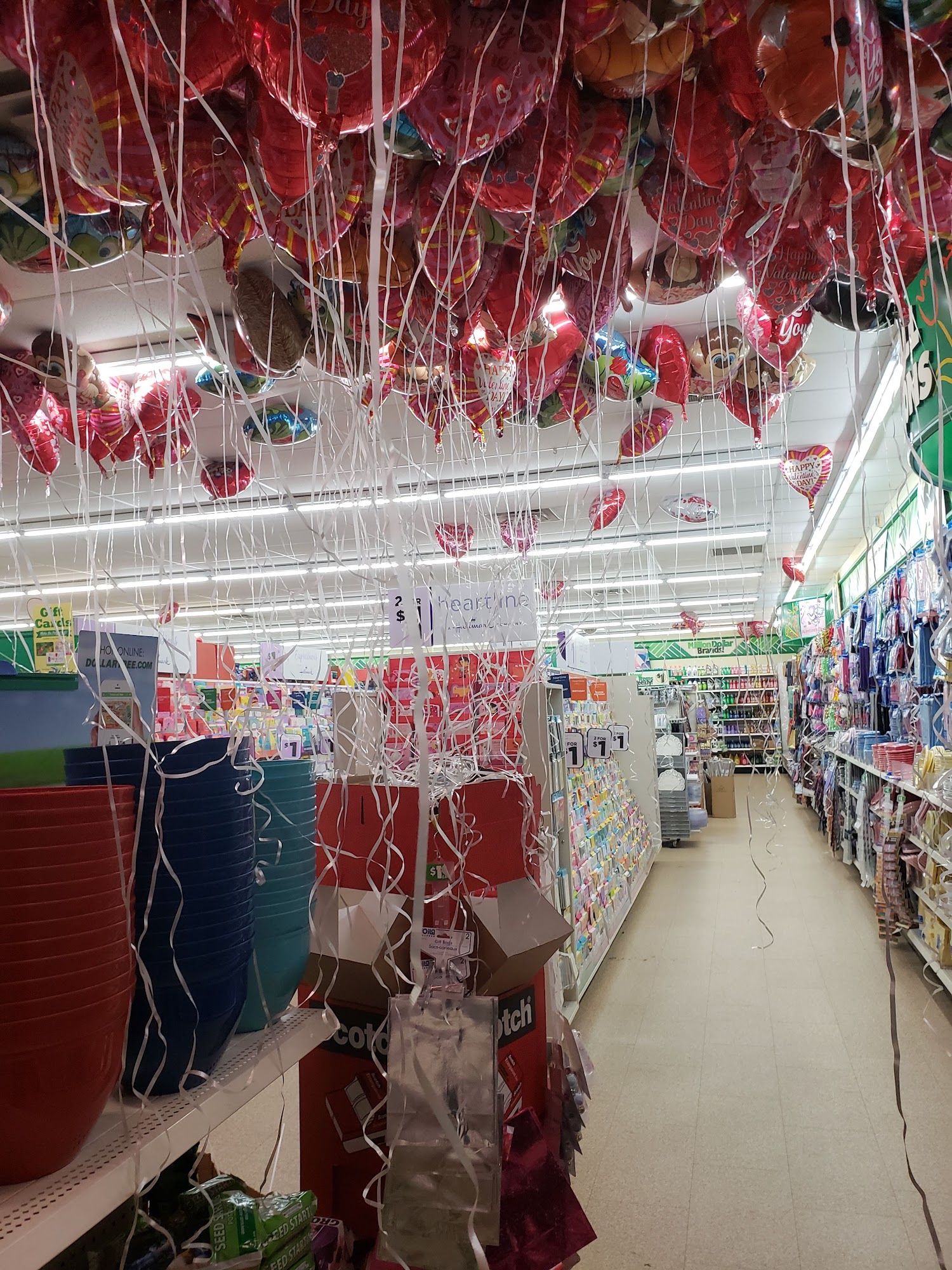 Dollar Tree