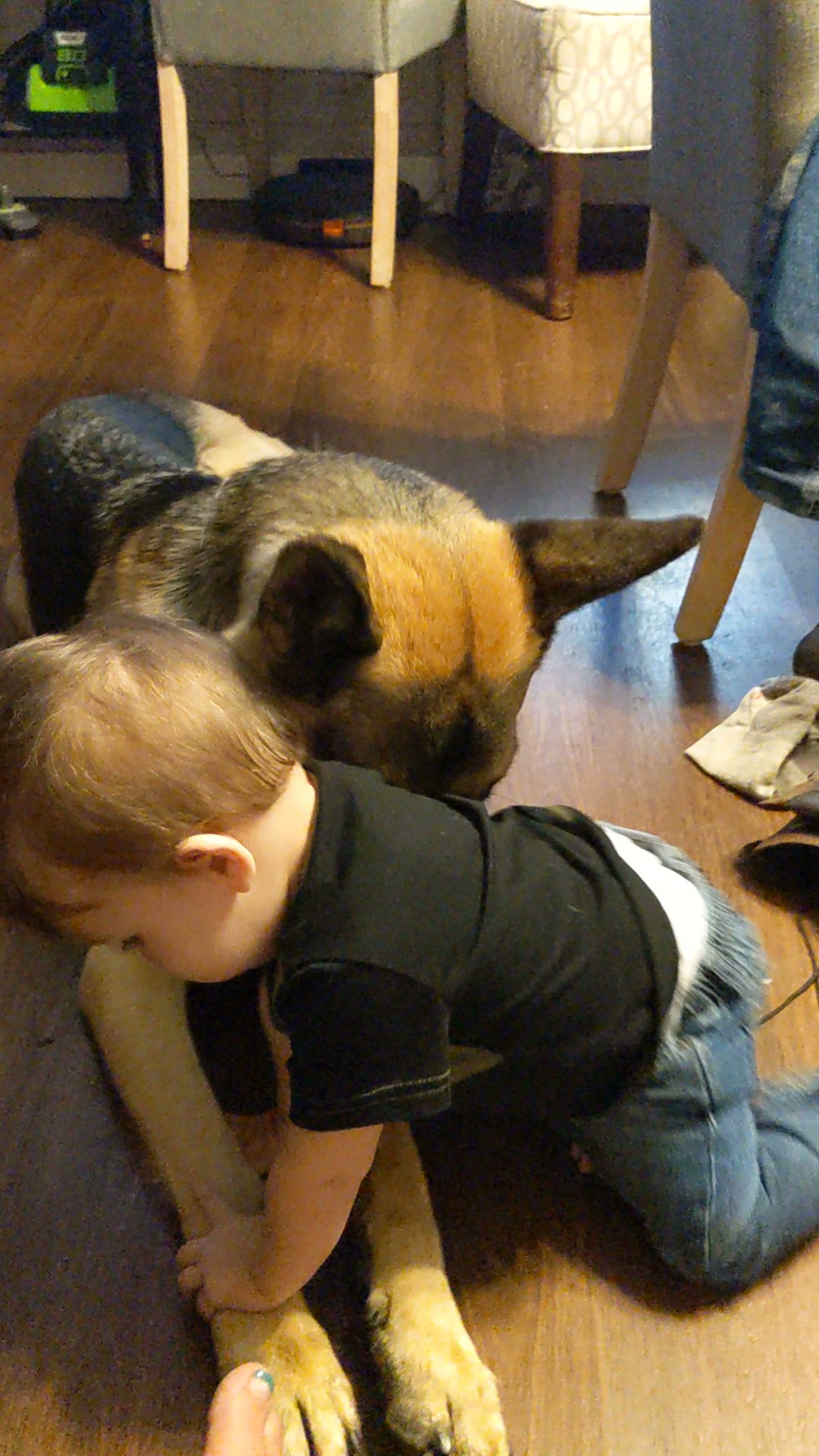 Four Paws Inn Bismarck