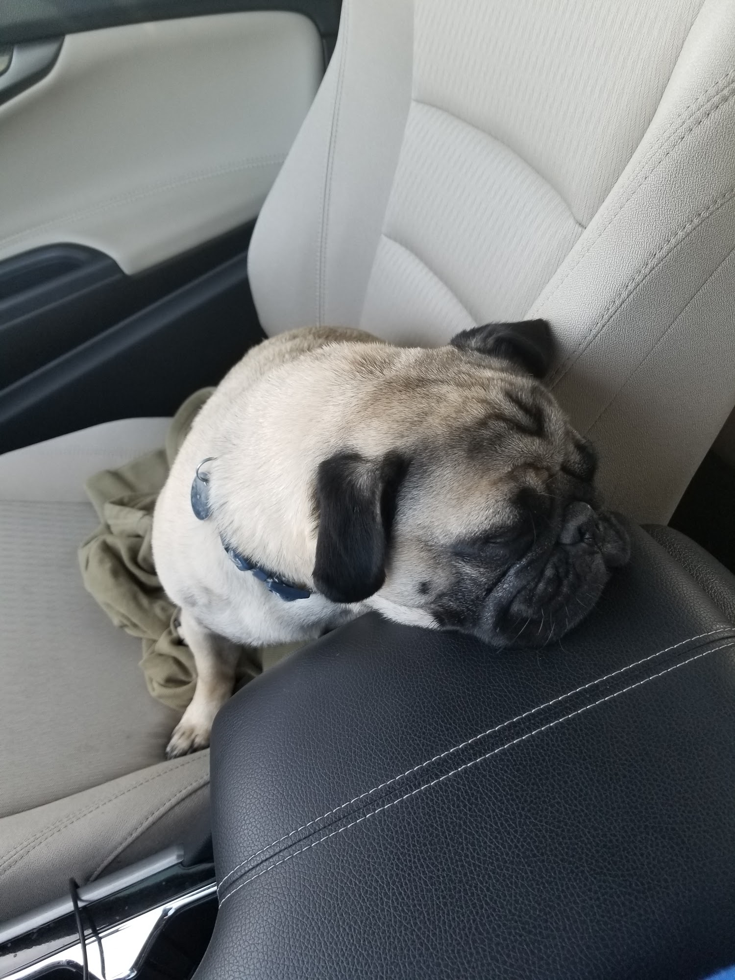 Home Away From Home Fargo