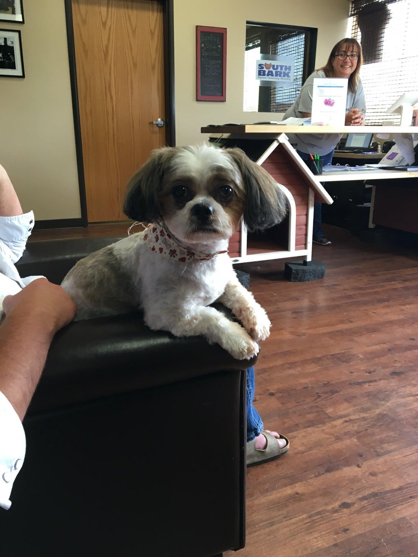 South Bark Doggy Daycare, Grooming and Boarding Fargo