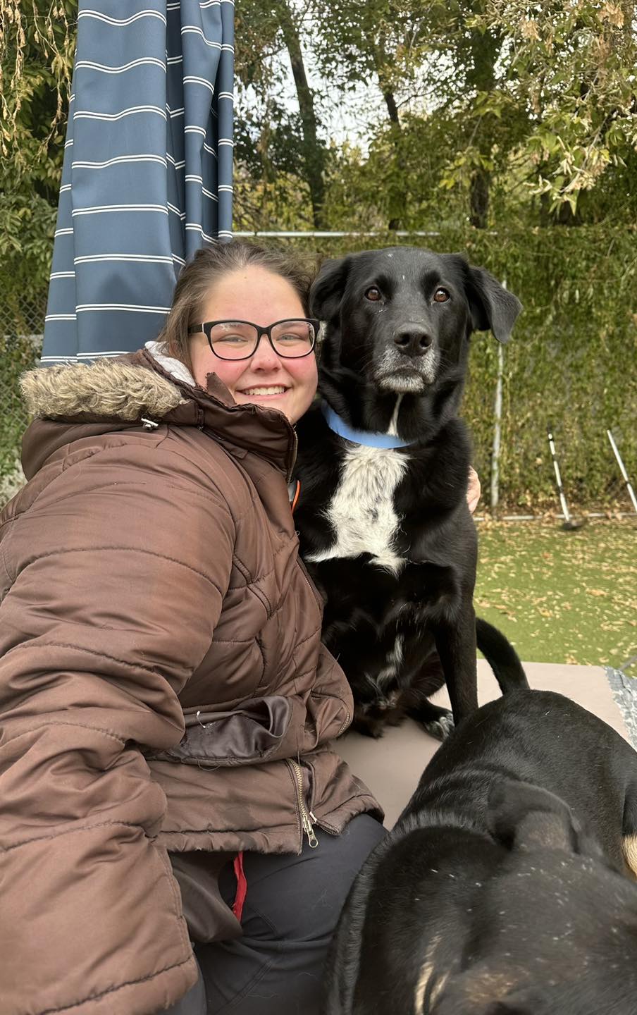 Stay & Play Pet Resort and Spa Grand Forks