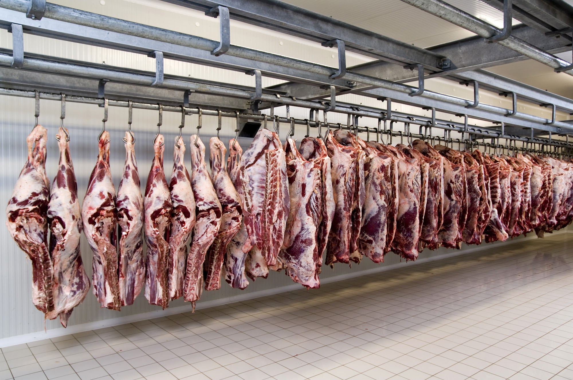 Protein Processing Services