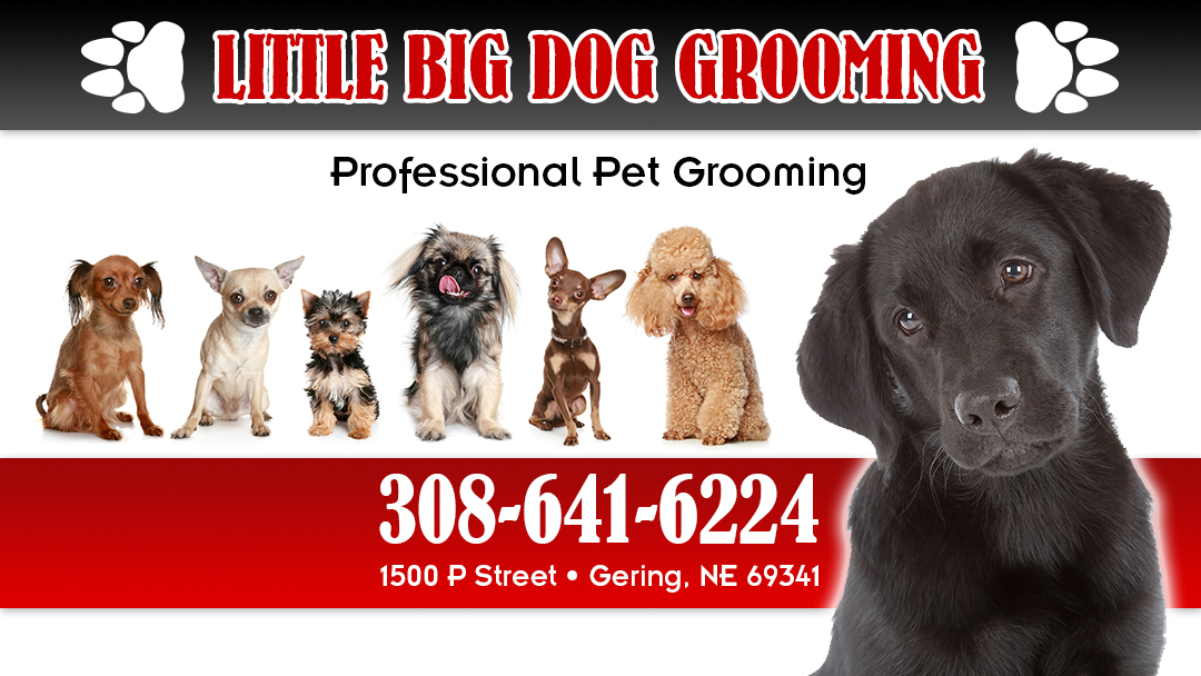 Little Big Dog Grooming 1500 P St, Gering Nebraska 69341