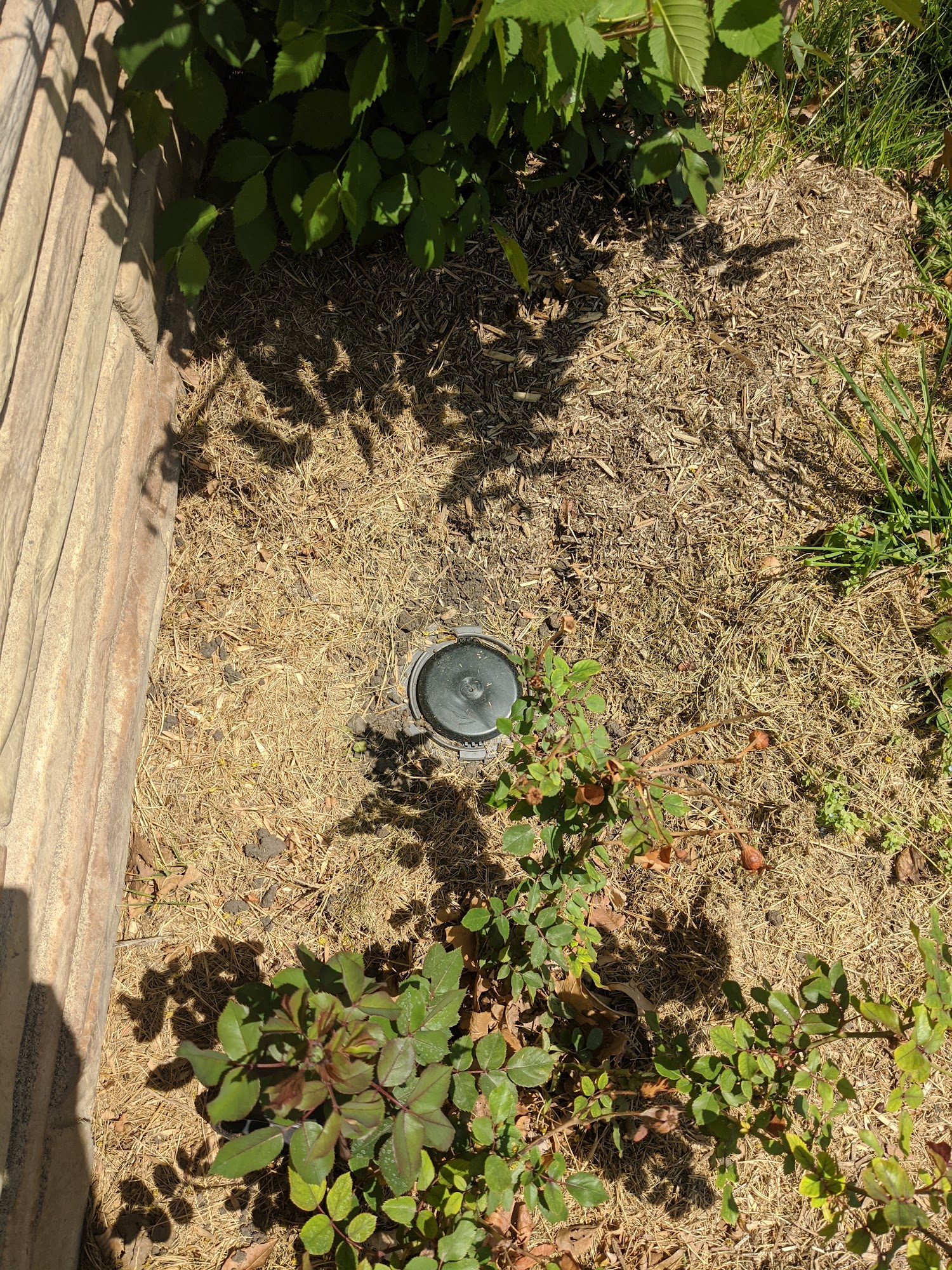 Carey's Pest Control Inc